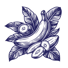 Obraz premium Detailed hand drawn engraving of tropical bananas and sliced fruit on palm leaves with tropical engraving botanical illustration vegetarian ingredient agriculture
