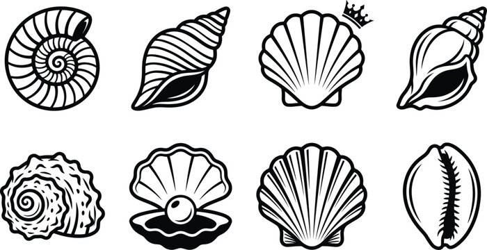 Set of black and white vector icons featuring various types of seashells, including scallop and conch shells