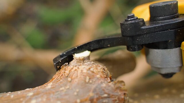 Electric pruner blade cutting thick tree branch macro close-up