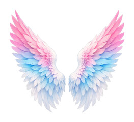 Obraz premium PNG Colorful angel wings illustration