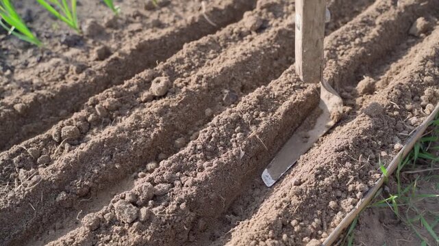 Tamping down soil on garden bed before sowing seeds in slow motion