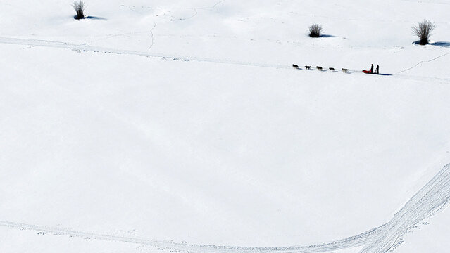 Dog sledding in Buffalo Fork Valley; Jackson Hole; Wyoming