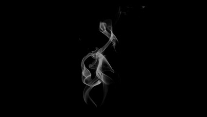 Abstract swirling white smoke wisps rising elegantly against a stark black background, creating a sense of mystery and movement © Studio Fiuza