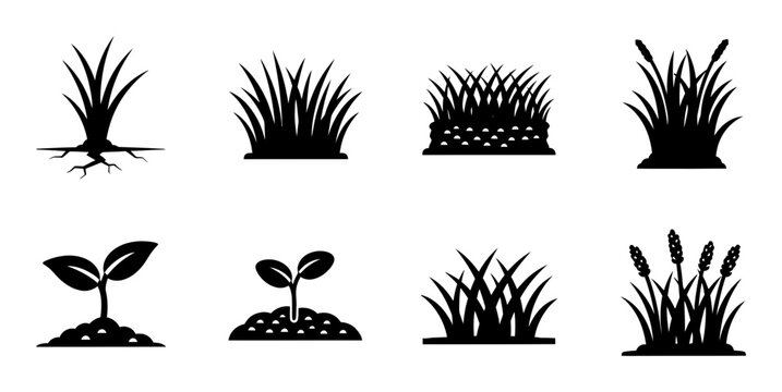 8 Grass icons, plants, foliage, growth, outline solid styles, UI and web interface design