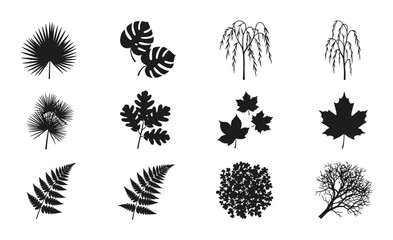 Fototapeta premium 12 Leaf icons, various tree leaves, outline solid styles, UI and web interface design