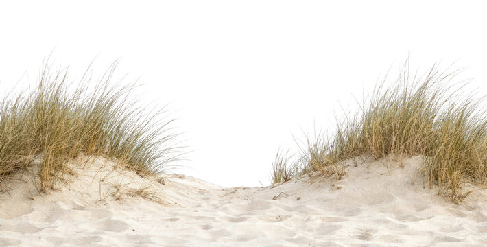 PNG Serene sandy dunes landscape