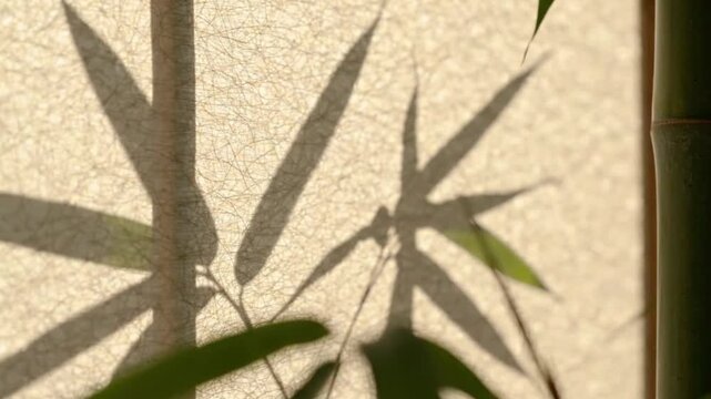 Bamboo Silhouette Shadows on Textured Paper - Zen East Asian Nature