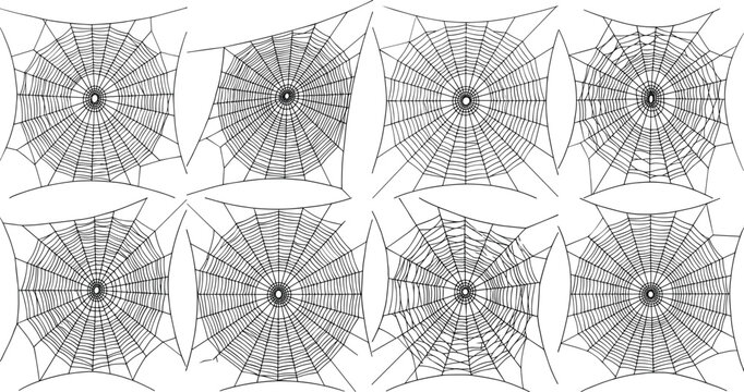 Set of detailed spider web vector illustrations isolated on a white background perfect for Halloween designs, spooky concepts, and creepy arachnid web patterns.