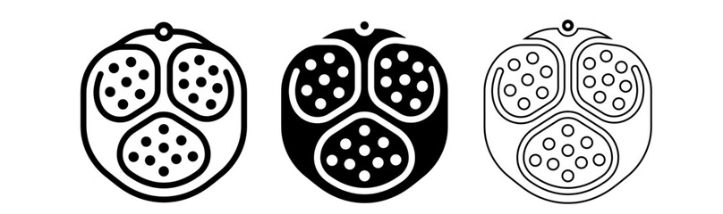 Set of three black and white ladybug ornament illustrations with varying line styles and fill patterns © Icon shop
