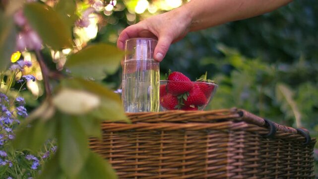 Woman with strawberries and sparkling wine with vintage picnic basket view of summer flowers
