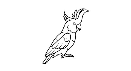 Naklejka premium A monoline outline of a cockatiel standing on a transparent background, isolated on a, transparent background