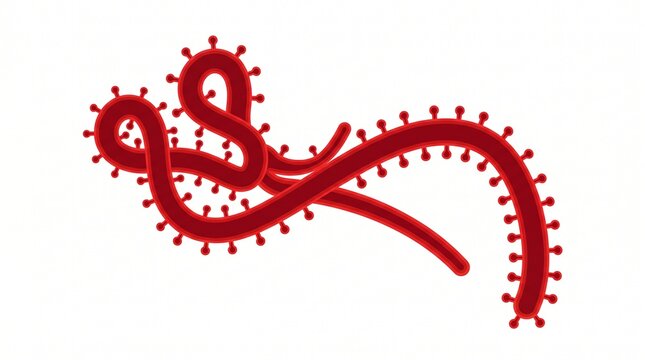 Illustration of ebola virus particle with characteristic filamentous shape