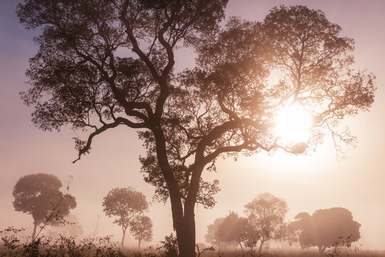 Rural landscapes in Brazil