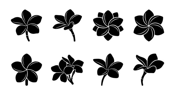 Plumeria Flower Silhouettes, Tropical Floral Vector Icons, Exotic Botanical Graphic Elements