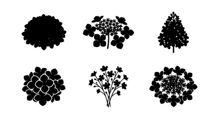 Black Silhouette Botanical Icons: Hydrangea, Tree, Floral Bush Vector Set © Abdullah