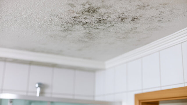 Black Mold Spreading on Bathroom Ceiling due to Poor Ventilation