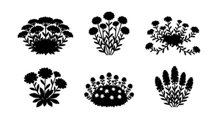 Set of 6 Black Silhouette Garden Plants, Botanical Icons, Decorative Floral Elements © Mitu