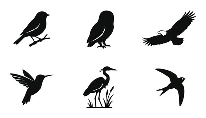 Fototapeta premium 6 Bird silhouettes icons, black solid styles, nature design