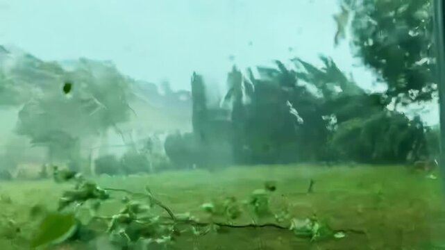 Hurricane-force winds violently battering trees and knocking them down in their path.