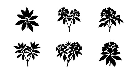 Botanical Vector Icons: Rhododendron Plant Silhouettes, Floral Elements, Nature Graphics © Sumaiya