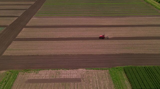 Agricultural red small tractor in the field plowing, works in the field. Flying over a tractor working in the field.