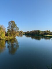 Obraz premium river in the forest