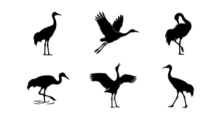 Fototapeta premium Crane Silhouettes: Six Elegant Bird Poses, Vector Graphics for Nature and Wildlife Designs