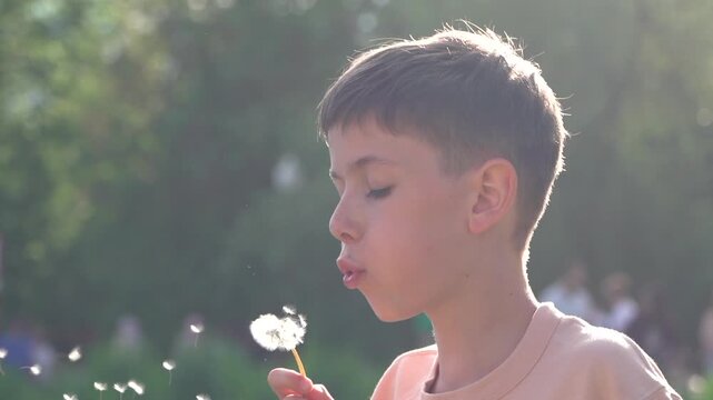 Slow motion portrait video of a cute boy blowing dandelion flower in warm golden sunset sunlight outdoors. Happy childhood lifestyle with dreamy nature atmosphere