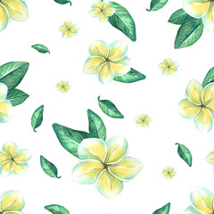Plumeria flower pattern hand drawn watercolor illustration. Tropical exotic blossom seamless background for textile design. Botanical art with yellow petals and green jungle leaf print. © NATASHA-CHU
