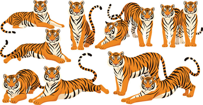 Collection of Cute Cartoon Tiger Poses Vector Illustration Set with Wild Jungle Animals for Kids Designs, Mascots, Stickers, and Educational Use