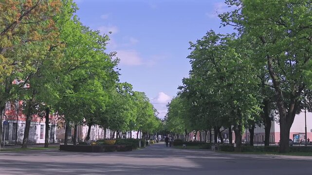 People walking along a tree-lined boulevard in Narva, Estonia