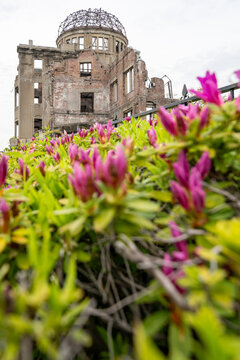Hiroshima, Japan famous A-Bomb dome (atomic bomb dome) building, with flowers in foreground