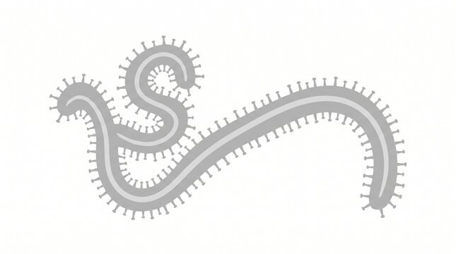 Illustration of a segmented worm with many legs isolated on white background