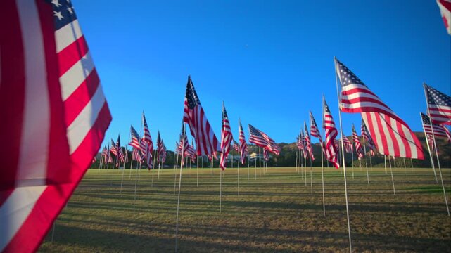 Rows of American flags wave gently on metal poles across expansive green grass field during golden hour, casting long shadows under vivid blue sky with distant hills and buildings on horizon.