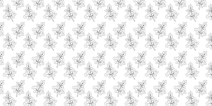 Fresh green leaves seamless pattern on blue background Moringa and celery leaf vector botanical illustration