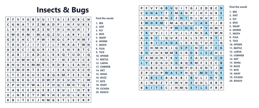 Word seek puzzle sheet with birthday party theme and answers  