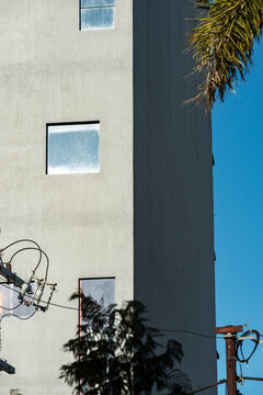 Minimal pale facade stacks reflective windows beside palm shadow and blue sky