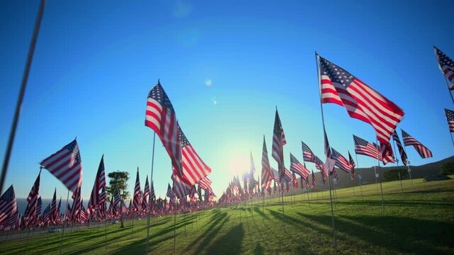 USA Flag September 11 memorial tribute displays hundreds of American flags waving on metal poles across green grass field at sunset with long shadows and clear blue sky creating patriotic scene.
