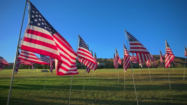 USA Flag display for September 11 memorial tribute features rows of American flags waving in the wind on green grass field with mountains and clear blue sky in background during golden hour.