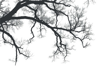 Obraz premium A network of bare tree branches and twigs extends gracefully across a bright white background