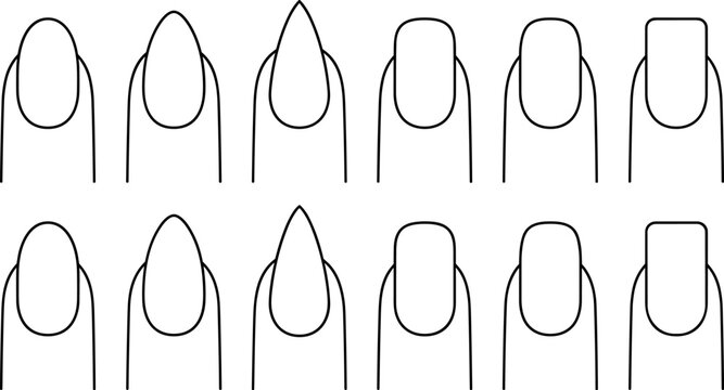 Minimal Fingernail Shape Outline Collection Featuring Oval, Almond, Square, and Pointed Nail Designs for Beauty and Manicure Projects