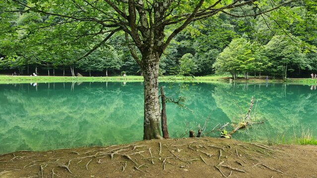 Le lac de Bethmale et ses sublimes eaux vertes-&eacute;meraude (Pyr&eacute;n&eacute;es ari&eacute;geoises)