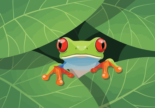 A vibrant vector illustration of a red-eyed tree frog peering out from behind lush green jungle leaves, showcasing its bright colors and distinct eyes.