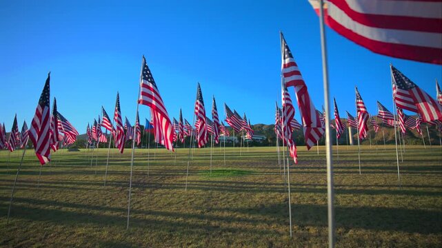 USA Flag September 11 memorial tribute featuring hundreds of American flags on metal poles across green grass field. Clear blue sky and mountains create backdrop for patriotic display honoring.