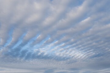 Blue sky full of Altocumulus clouds. © Paul