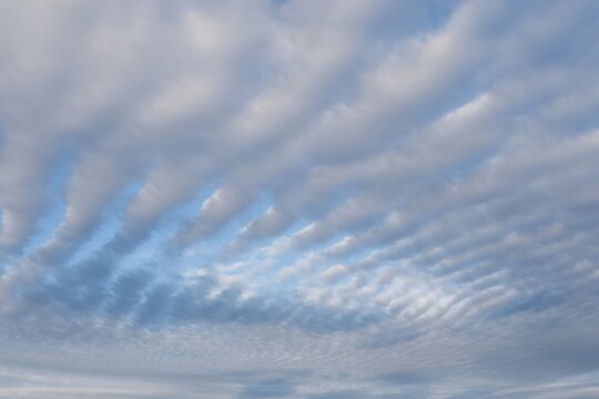 Blue sky full of Altocumulus clouds.