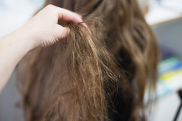 Naklejka premium Hand touching dry damaged tangled brown hair