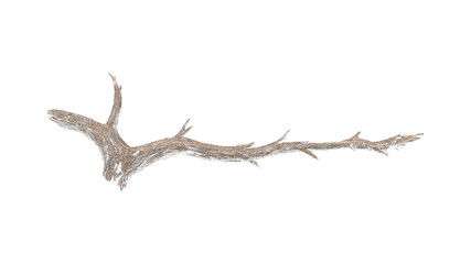 Fototapeta premium PNG Natural branch isolated elegance