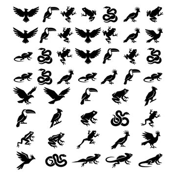 Amazon rainforest canopy birds reptiles geometric wildlife icons silhouette pack