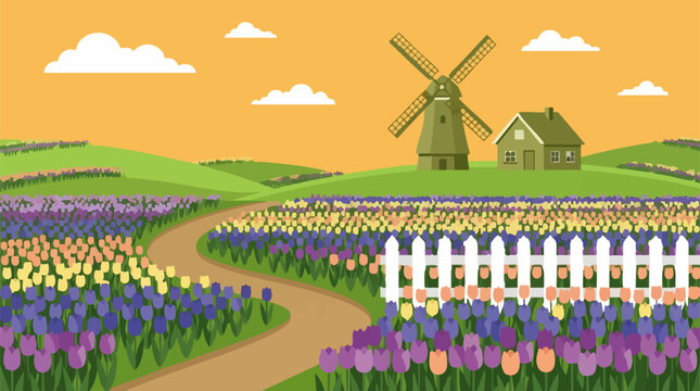 Vibrant Tulip Fields with Windmill and House in a Spring Landscape Illustration